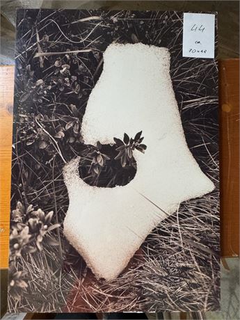 Bild 70x48 cm - ID: 044HGE