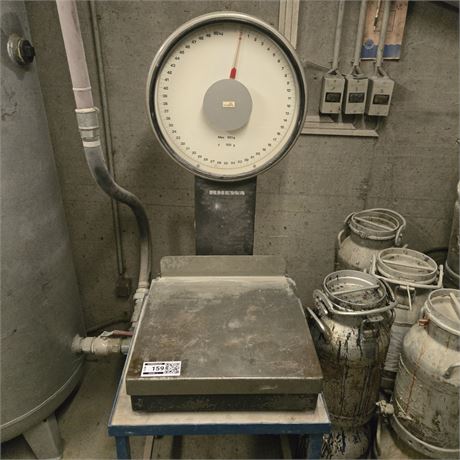 Rewa Waage - ID: 159-CGW