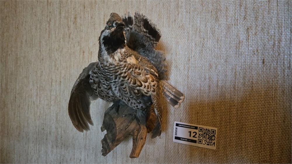 Angebotsbild