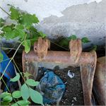 Angebotsbild