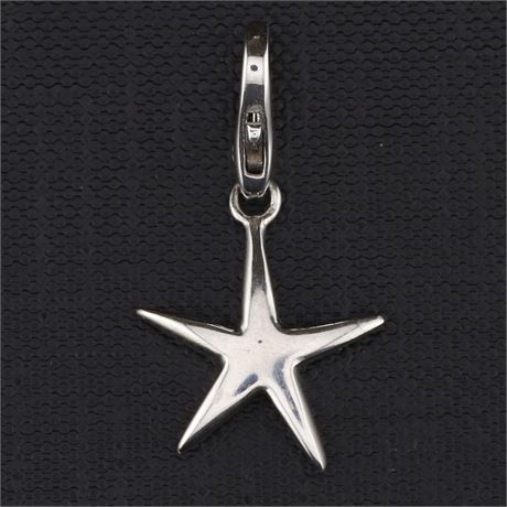 Charms, Silber 925 - ID: 4175-JWG